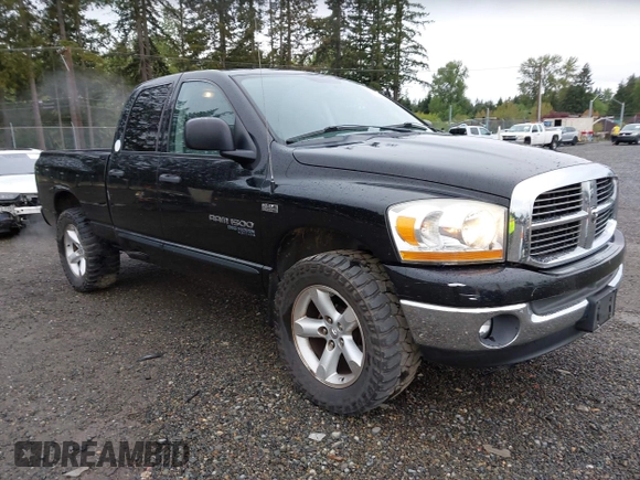 2006 Dodge 1500 SLT with VIN 1D7HU18236S566935, listed as a IAAI auction lot 42140397 with Not Provided miles and . Bid and sale history available at DreamBid. Image 1.