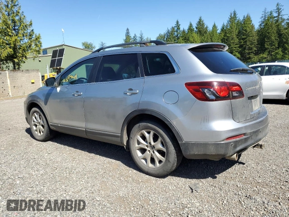 2013 Mazda CX-9 Touring with VIN JM3TB3CV5D0402304, listed as a Copart auction lot 58009705 with 110,247 mi miles and Salvage title. Bid and sale history available at DreamBid. Image 2.