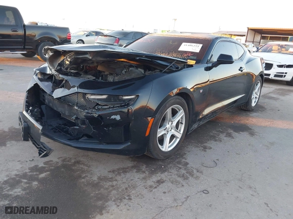 2019 Chevrolet Camaro 1LT with VIN 1G1FB1RX6K0133447, listed as a IAAI auction lot 41406255 with 125,267 mi miles. Bid and sale history available at carsss.com. Image 2.