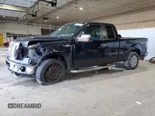 2011 Ford F-150 XL with VIN 1FTFX1EF8BFD40506, listed as a Copart auction lot 82525844 with 226,291 mi miles and Non repairable. Bid and sale history available at DreamBid. Image 1.