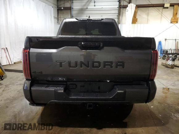 2022 Toyota Tundra Platinum with VIN 5TFNA5DB0NX019500, listed as a Copart auction lot 78663374 with 26,405 mi miles and Salvage title. Bid and sale history available at DreamBid. Image 6.