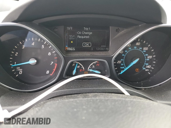 2016 Ford Escape SE z VIN 1FMCU9G95GUB48539, wystawiony jako Copart lot #57028905 z przebiegiem 124 307 mil mil oraz Szkody całkowita. Historia ofert i sprzedaży dostępna na DreamBid. Obrazek 9.