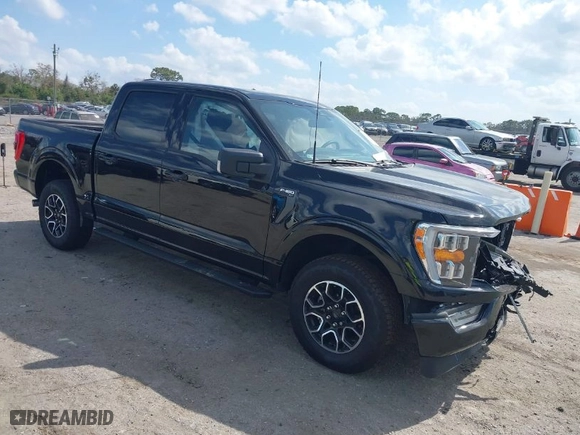 2023 Ford F-150 XL with VIN 1FTEW1EP3PKD05149, listed as a IAAI auction lot 41568543 with 5,594 mi miles. Bid and sale history available at carsss.com. Image 1.