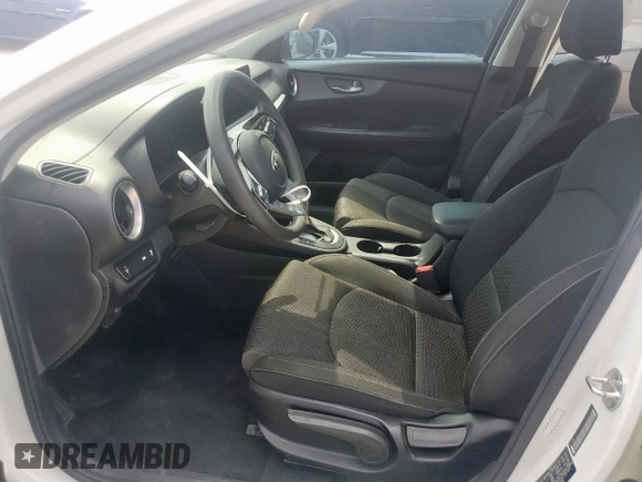 2019 Kia Forte LXS with VIN 3KPF24AD8KE106798, listed as a Copart auction lot 53078135 with 66,407 mi miles and Clean Title. Bid and sale history available at carsss.com. Image 7.