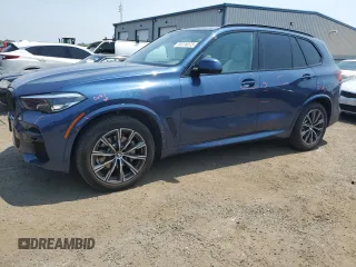 2023 BMW X5 xDrive40i with VIN 5UXCR6C03P9R57969, listed as a Copart auction lot 60226075 with 54,179 mi miles and Salvage title. Bid and sale history available at DreamBid. Image 1.