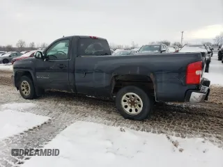 2009 Chevrolet Silverado 1500 Work Truck with VIN 1GCEC14X19Z182262, listed as a Copart auction lot 82851404 with 296,528 mi miles and Clean Title. Bid and sale history available at DreamBid. Image 2.