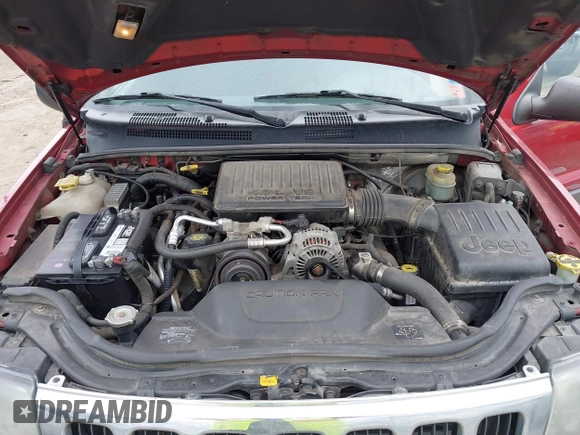 2001 Jeep Grand Cherokee Laredo with VIN 1J4GW48N51C732011, listed as a IAAI auction lot 42194017 with 195,716 mi miles and . Bid and sale history available at DreamBid. Image 10.