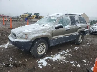 2004 Jeep Grand Cherokee Laredo with VIN 1J4GW48N94C408435, listed as a Copart auction lot 53101955 with Not provided miles and Clean title. Bid and sale history available at DreamBid. Image 1.