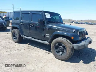 2010 Jeep Wrangler Unlimited Sahara with VIN 1J4HA5H17AL140941, listed as a IAAI auction lot 42004203 with 126,100 mi miles. Bid and sale history available at carsss.com. Image 1.