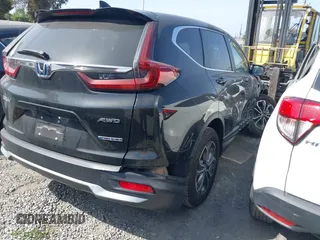 2020 Honda CR-V EX with VIN 7FART6H51LE019894, listed as a IAAI auction lot 41741587 with Not Provided miles and . Bid and sale history available at DreamBid. Image 4.