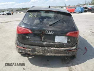2010 Audi Q5 Prestige with VIN WA1WKBFP8AA042488, listed as a Copart auction lot 48786155 with Not provided miles and Salvage title. Bid and sale history available at DreamBid. Image 6.