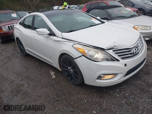 2013 Hyundai Azera with VIN KMHFH4JG0DA216691, listed as a IAAI auction lot 41704694 with 200,228 mi miles and . Bid and sale history available at DreamBid. Image 1.