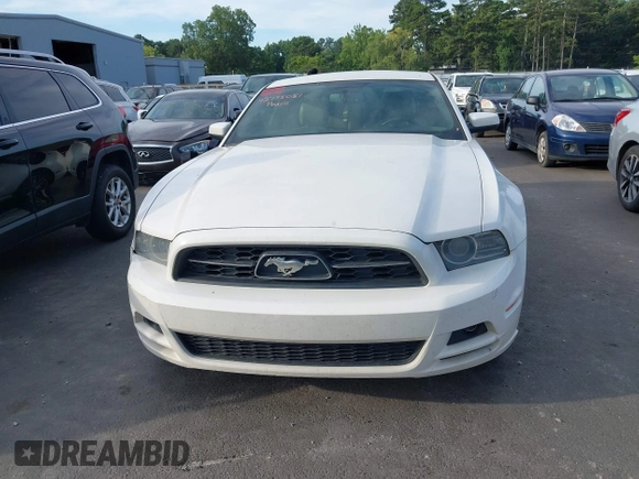 2013 Ford Mustang V6 with VIN 1ZVBP8AM1D5254018, listed as a IAAI auction lot 42738081 with 231,643 mi miles and . Bid and sale history available at DreamBid. Image 12.