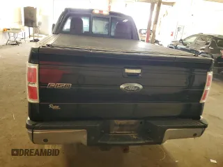 2011 Ford F-150 XLT with VIN 1FTFW1ET6BFD30873, listed as a Copart auction lot 66214035 with 273,412 mi miles and Clean title. Bid and sale history available at DreamBid. Image 6.