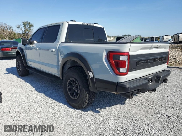 2023 Ford F-150 Raptor with VIN 1FTFW1RJ9PFA82277, listed as a Copart auction lot 86308544 with Not Provided miles and Salvage Title. Bid and sale history available at DreamBid. Image 2.