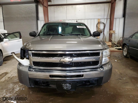 2009 Chevrolet Silverado 1500 LS with VIN 3GCEK13CX9G250821, listed as a Copart auction lot 48764605 with 0 mi miles and Clean Title. Bid and sale history available at carsss.com. Image 5.