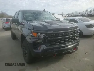 2022 Chevrolet Silverado 1500 Custom Trail Boss with VIN 3GCPDCED4NG533598, listed as a Copart auction lot 87164224 with 14,725 mi miles and Salvage Title. Bid and sale history available at DreamBid. Image 11.