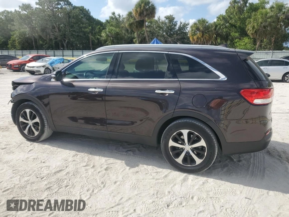 2016 Kia Sorento EX with VIN 5XYPH4A59GG008210, listed as a Copart auction lot 54621845 with 124,208 mi miles and Salvage Title. Bid and sale history available at carsss.com. Image 2.
