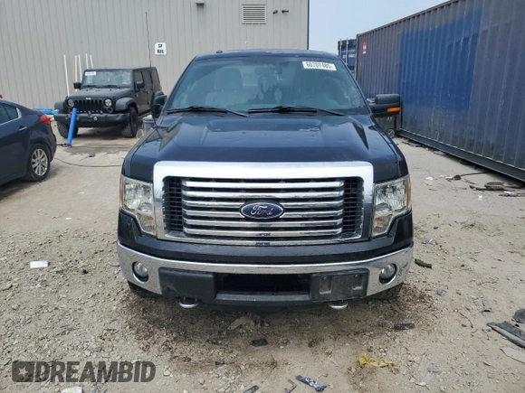 2012 Ford F-150 XL with VIN 1FTFX1ET4CFC51782, listed as a Copart auction lot 60707485 with 124,671 mi miles and Clean title. Bid and sale history available at DreamBid. Image 5.