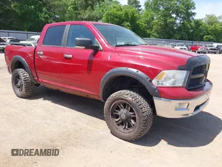 2010 Dodge 1500 SLT with VIN 1D7RV1CT4AS186481, listed as a IAAI auction lot 41977635 with 196,131 mi miles and . Bid and sale history available at carsss.com. Image 1.