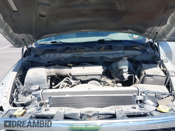 2010 Dodge 1500 SLT with VIN 1D7RV1CP7AS232095, listed as a IAAI auction lot 41974699 with 171,174 mi miles and . Bid and sale history available at carsss.com. Image 10.