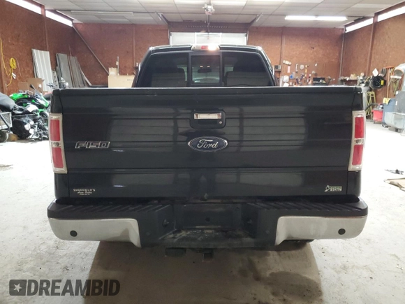 2010 Ford F-150 XL with VIN 1FTFW1EV7AFA44952, listed as a Copart auction lot 47845065 with 160,132 mi miles and Salvage title. Bid and sale history available at DreamBid. Image 6.