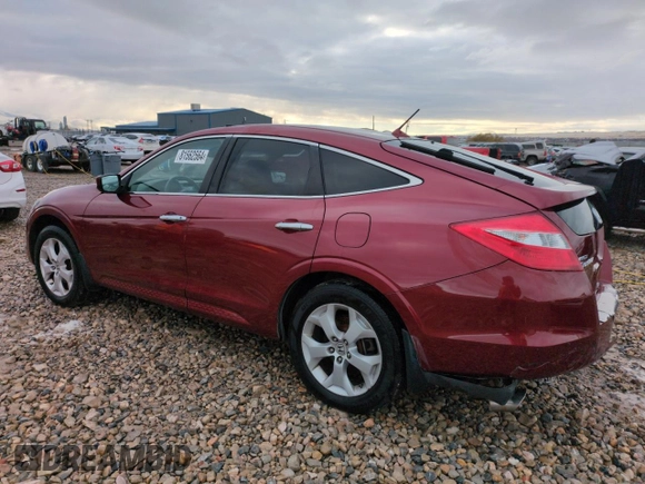 2010 Honda Accord Crosstour EX-L with VIN 5J6TF2H55AL007690, listed as a Copart auction lot 81562564 with 116,285 mi miles and Salvage Title. Bid and sale history available at carsss.com. Image 2.