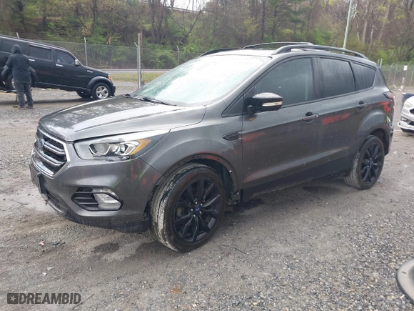 2017 Ford Escape Titanium with VIN 1FMCU0JD1HUA75308, listed as a IAAI auction lot 41966334 with 129,044 mi miles. Bid and sale history available at carsss.com. Image 17.