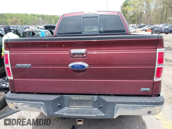2010 Ford F-150 XL with VIN 1FTFW1EV9AFD22539, listed as a IAAI auction lot 41859714 with 233,079 mi miles. Bid and sale history available at carsss.com. Image 16.