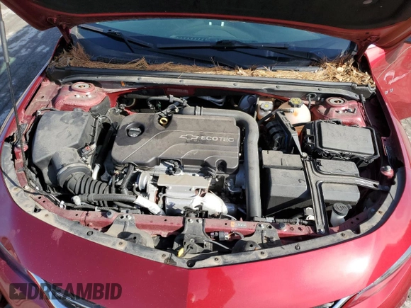 2017 Chevrolet Malibu LT with VIN 1G1ZE5ST6HF273944, listed as a Copart auction lot 50035905 with 19,453 mi miles and Salvage Title. Bid and sale history available at DreamBid. Image 11.