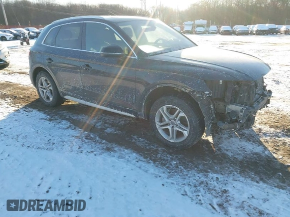 2019 Audi Q5 Premium with VIN WA1ANAFY9K2069635, listed as a IAAI auction lot 41252649 with 91,199 mi miles. Bid and sale history available at carsss.com. Image 1.