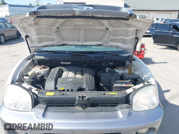 2005 Hyundai Santa Fe GLS with VIN KM8SC13D95U934500, listed as a IAAI auction lot 42190484 with 108,996 mi miles. Bid and sale history available at carsss.com. Image 10.