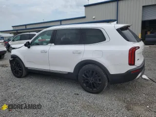 2022 Kia Telluride SX with VIN 5XYP5DHC6NG222534, listed as a Copart auction lot 58656315 with 76,952 mi miles and Salvage title. Bid and sale history available at DreamBid. Image 2.