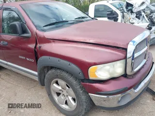 2002 Dodge 1500 with VIN 1D7HA18Z92S665582, listed as a IAAI auction lot 42066550 with 162,554 mi miles and . Bid and sale history available at DreamBid. Image 13.
