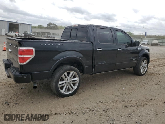2013 Ford F-150 XL with VIN 1FTFW1ET9DFC42273, listed as a Copart auction lot 51584985 with 172,854 mi miles and Salvage Title. Bid and sale history available at carsss.com. Image 3.