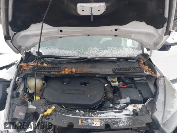 2017 Ford Escape SE with VIN 1FMCU9G96HUB49541, listed as a IAAI auction lot 41381783 with 178,323 mi miles. Bid and sale history available at carsss.com. Image 10.