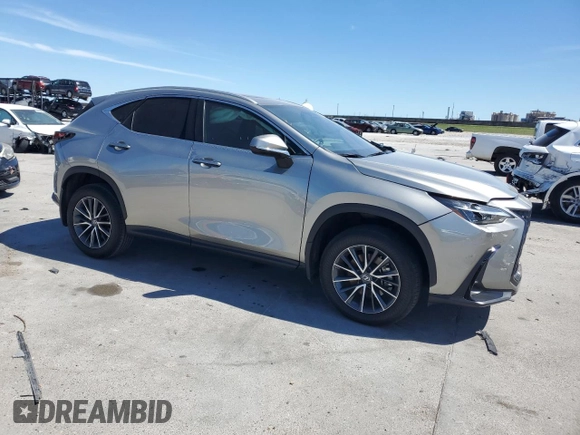 2024 Lexus NX 250 with VIN 2T2ADCAZ5RC010237, listed as a Copart auction lot 49515495 with 28,581 mi miles and Salvage title. Bid and sale history available at DreamBid. Image 4.