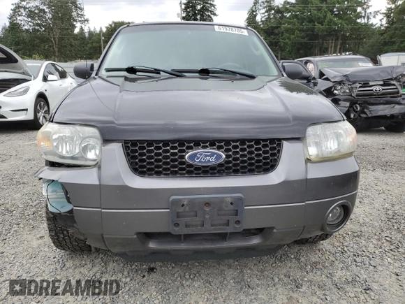 2005 Ford Escape XLT with VIN 1FMYU03165KB36801, listed as a Copart auction lot 61978705 with 217,658 mi miles and Salvage title. Bid and sale history available at DreamBid. Image 5.