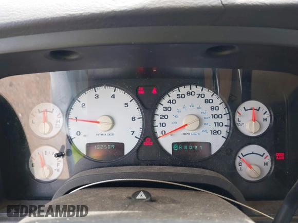 2002 Dodge 1500 with VIN 1D7HA16K12J250476, listed as a IAAI auction lot 42142215 with 132,509 mi miles and . Bid and sale history available at DreamBid. Image 7.