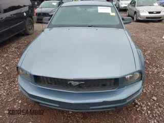 2006 Ford Mustang Standard with VIN 1ZVFT80N965128130, listed as a IAAI auction lot 41985938 with 203,035 mi miles. Bid and sale history available at carsss.com. Image 6.