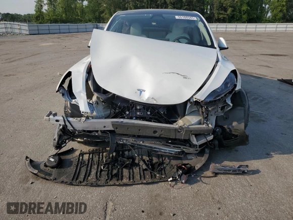 2024 Tesla Model Y Long Range with VIN 7SAYGAEEXRF109995, listed as a Copart auction lot 55160345 with Not provided miles and Salvage title. Bid and sale history available at DreamBid. Image 5.