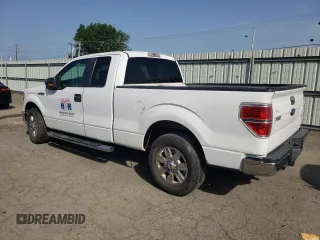 2010 Ford F-150 XL with VIN 1FTEX1C88AFA01775, listed as a Copart auction lot 62842515 with 153,623 mi miles and Clean title. Bid and sale history available at DreamBid. Image 2.