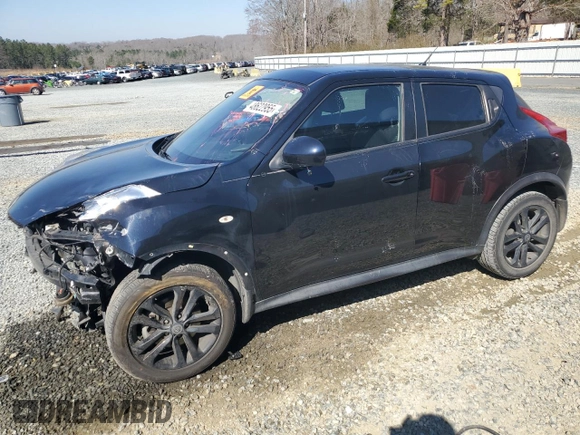 2013 Nissan Juke S with VIN JN8AF5MR2DT220208, listed as a Copart auction lot 48622955 with 96,447 mi miles and Salvage Title. Bid and sale history available at carsss.com. Image 1.