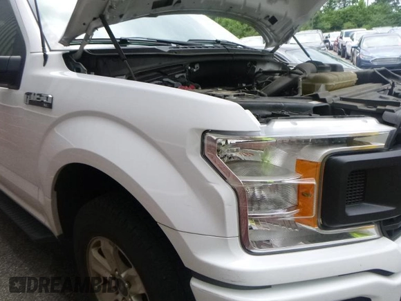 2019 Ford F-150 XL with VIN 1FTEX1CP2KKD65352, listed as a IAAI auction lot 42786007 with 110,186 mi miles and . Bid and sale history available at DreamBid. Image 18.