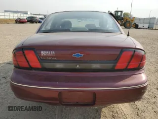 1996 Chevrolet Lumina with VIN 2G1WL52M7T9148079, listed as a Copart auction lot 75500834 with 176,307 mi miles and Salvage Title. Bid and sale history available at DreamBid. Image 6.