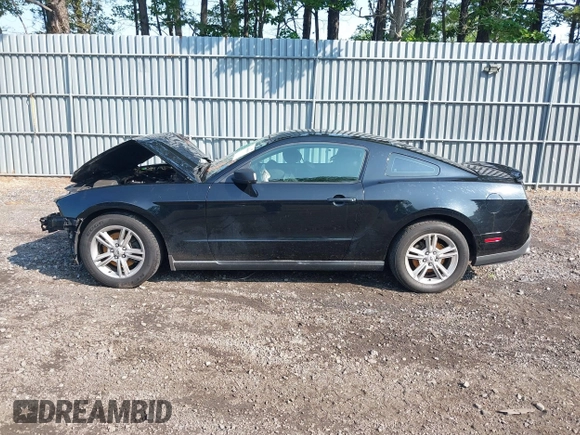 2012 Ford Mustang Premium with VIN 1ZVBP8AM1C5288023, listed as a IAAI auction lot 42486009 with 143,525 mi miles and . Bid and sale history available at DreamBid. Image 14.