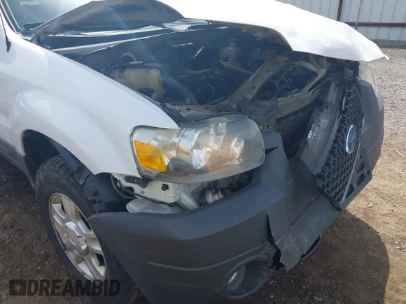 2006 Ford Escape XLT with VIN 1FMCU93106KA36063, listed as a IAAI auction lot 42610043 with 193,703 mi miles and . Bid and sale history available at DreamBid. Image 6.