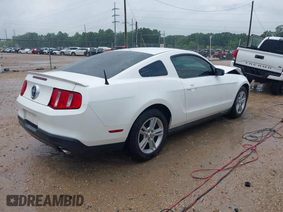 2012 Ford Mustang Premium with VIN 1ZVBP8AM3C5280537, listed as a IAAI auction lot 42171843 with 124,502 mi miles and . Bid and sale history available at carsss.com. Image 4.