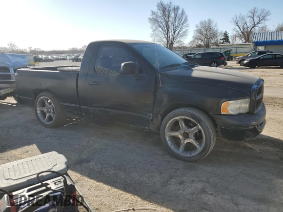 2002 Dodge 1500 with VIN 1D7HA16K42J244560, listed as a Copart auction lot 48218505 with 218,303 mi miles and Salvage Title. Bid and sale history available at DreamBid. Image 4.