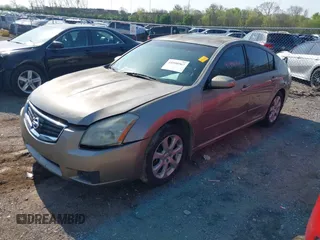 2007 Nissan Maxima 3.5 SE with VIN 1N4BA41E37C846712, listed as a IAAI auction lot 41990367 with 1 mi miles. Bid and sale history available at carsss.com. Image 2.